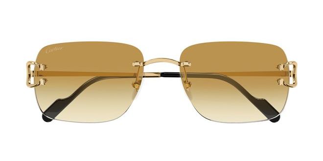 Cartier CT0330S