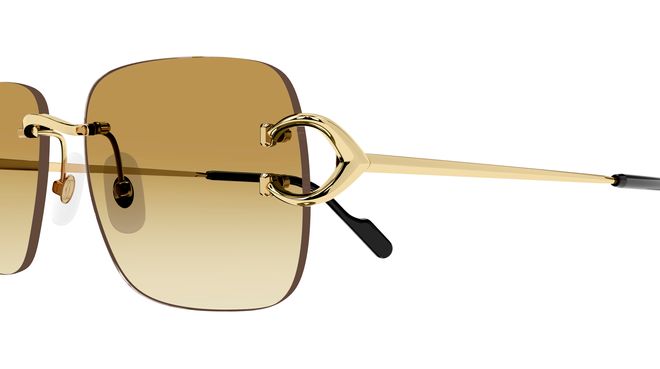 Cartier CT0330S
